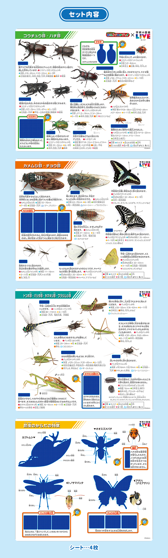 こたえがでてくる！おふろでスタディ「学研の図鑑LIVE」昆虫